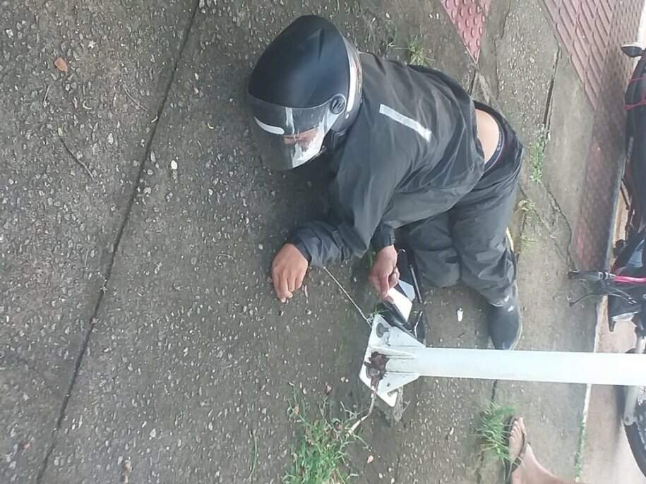 whatsapp-image-2021-03-12-at-09-15-53_915x686