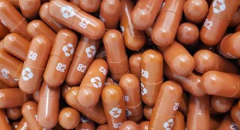 ridgeback-08032021141723620