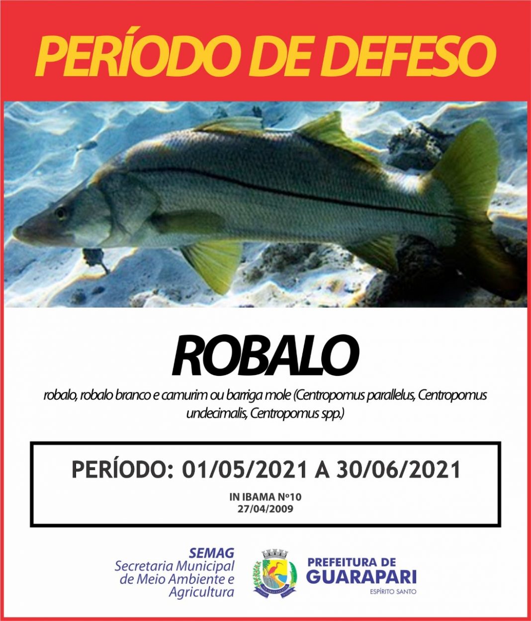 thumbnail_Defeso Robalo 2021