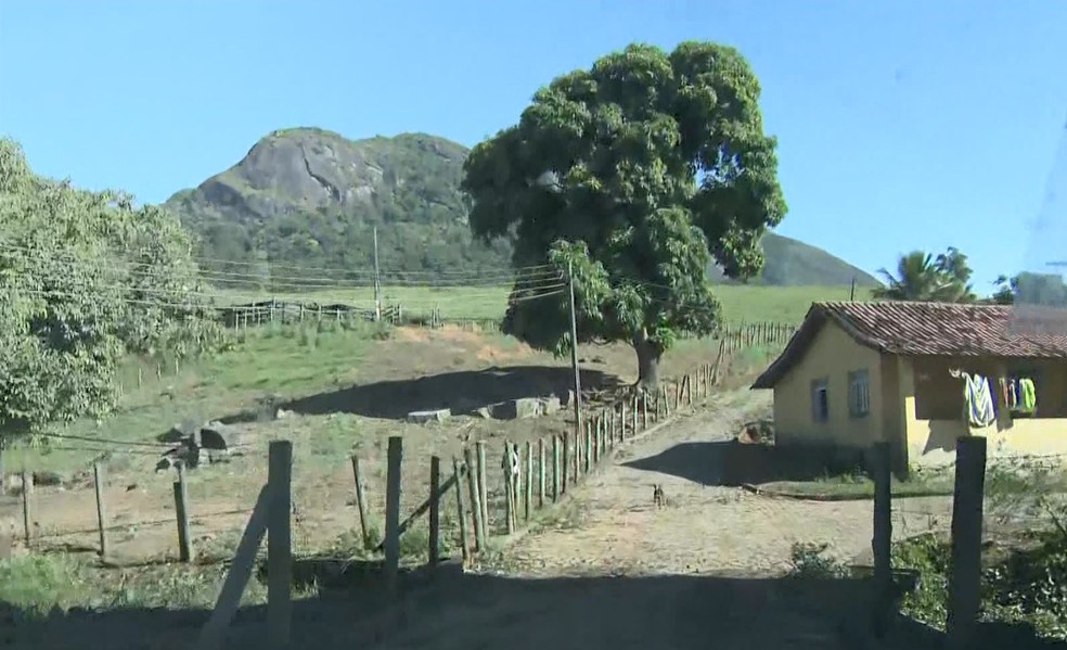 ilustra-invade-sitio-05-04-2021.mov-snapshot-00.00-2021.05.05-11.24.02-