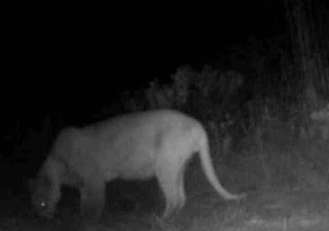 WhatsApp-Image-2022-02-17-at-14.46.51-1-1