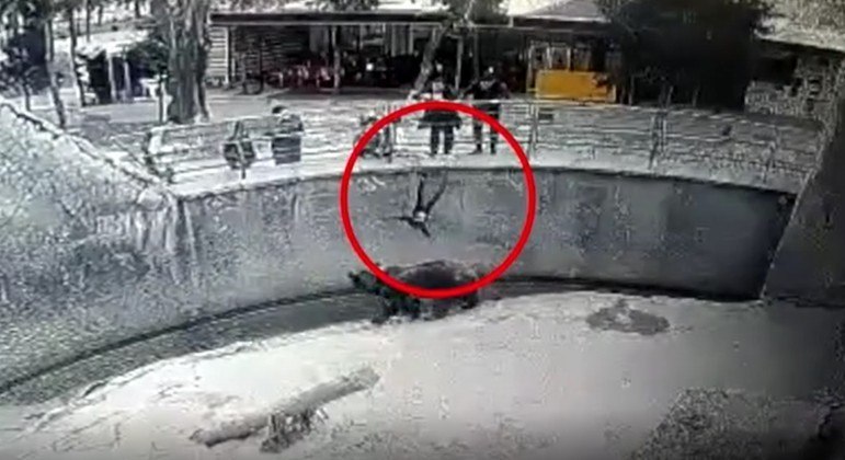 mae-filha-3-anos-jaula-urso-02022022203919464