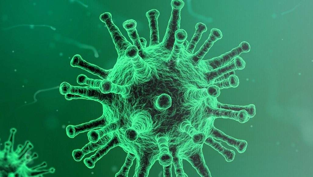 5a71e6f0-005f-11ec-8abd-3b4c5bb0c464--minified