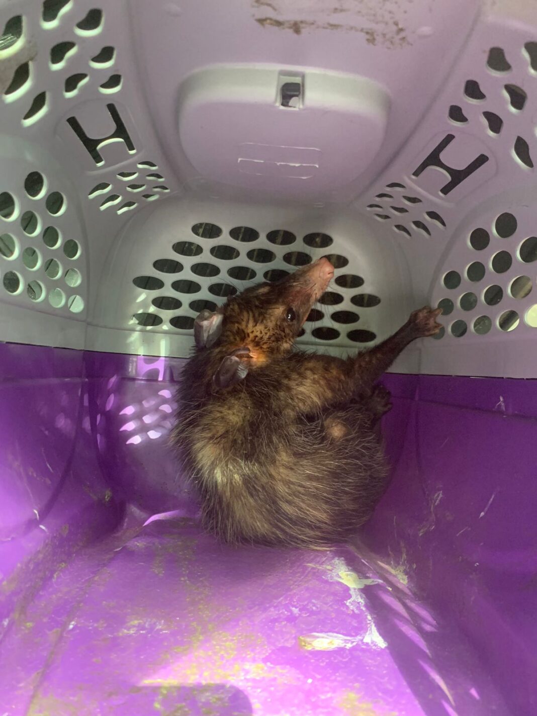 68d60d32-b2e3-4702-8622-80b8b06fb0f6