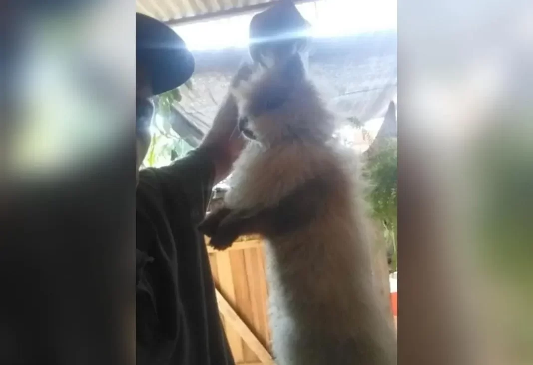 WhatsApp-Image-2023-11-21-at-08.40.24.jpeg-1700571295236 (1)