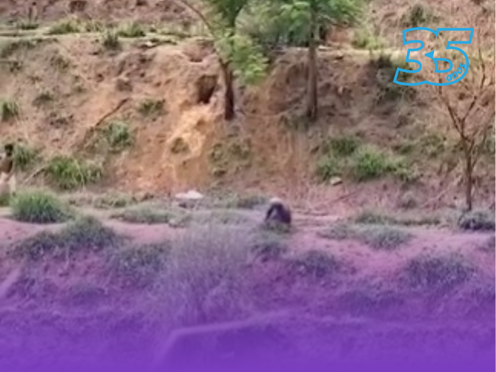 ARTE-DA-CAPA-DA-MATERIA-DO-SITE-(1000-x-750-px)---2025-01-10T153844.516-1736534247043