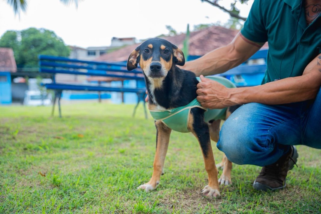 6558f334-a021-44a5-ae24-3fa52c5f1b3f