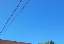 Equipe de Esportes e Lazer participa de capacitação sobre atendimento a crianças autistas